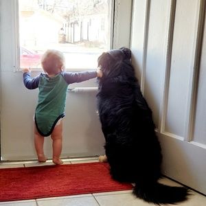 Meet your Posher, Laurie